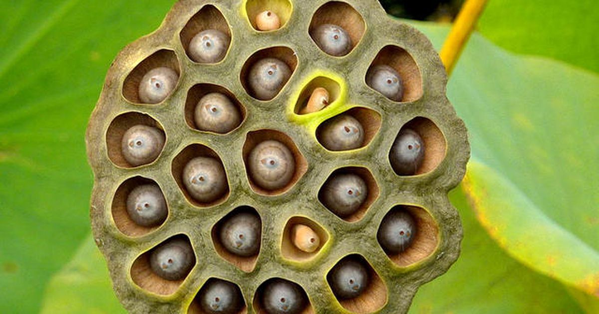 Wenn du DIESES Foto eklig findest, sagt das etwas bestimmtes über dich aus