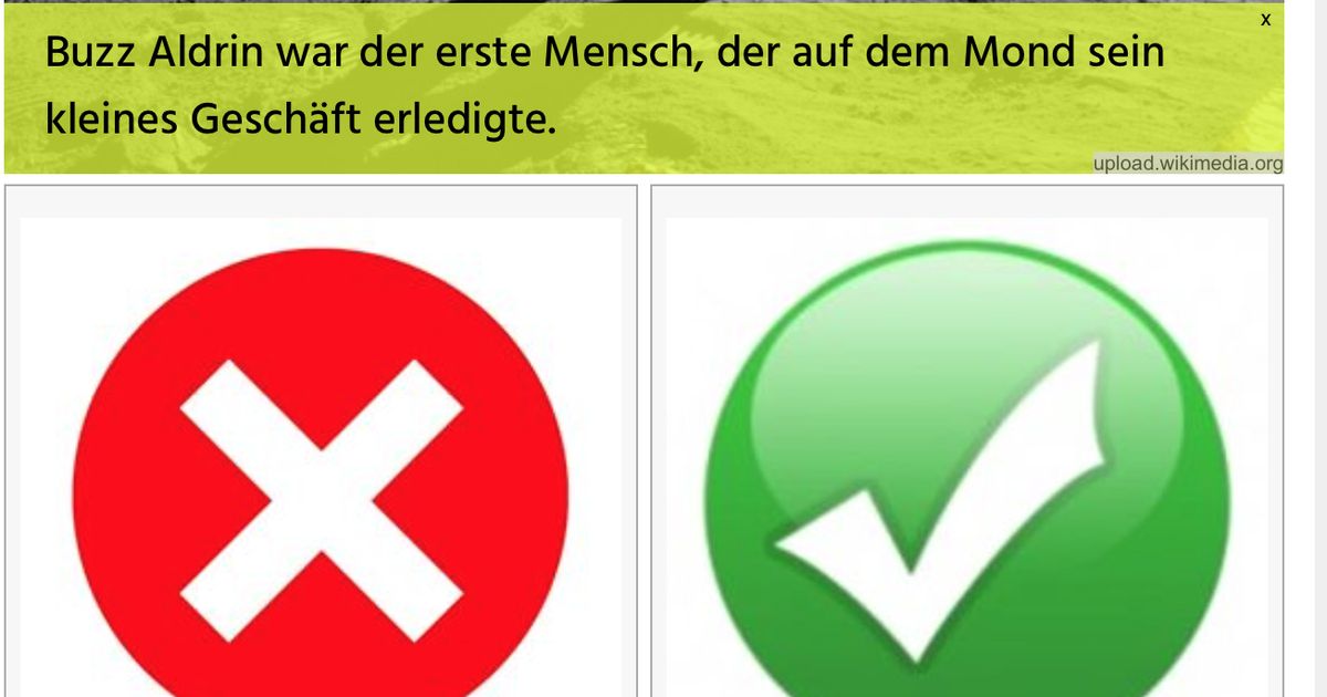 Wissenstest: Ist die folgende Aussage wahr oder falsch?